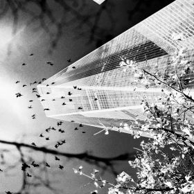 new york kathrin obletter 008